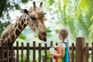 ein kind steht vor einer giraffe